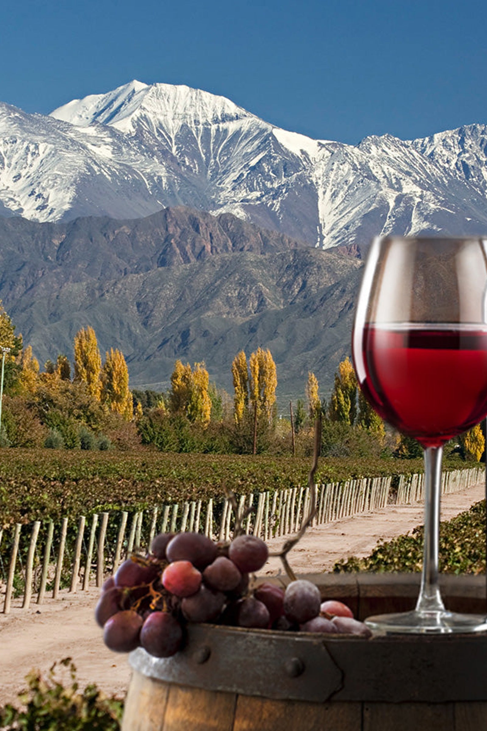 Argentina Wine Luxury Experience (10 giorn)