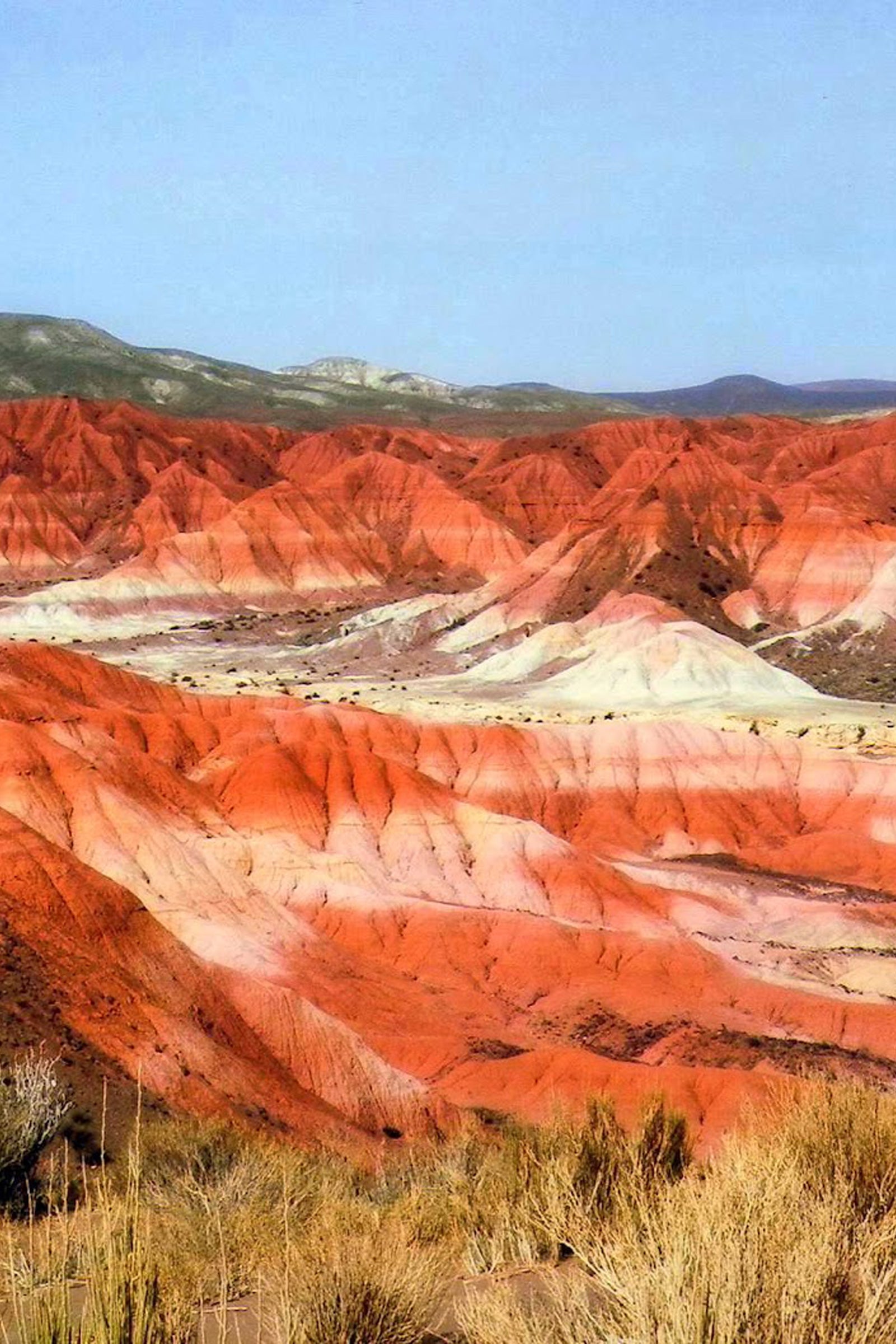 Deserti d'Argentina - Overland a Nord sulla RUTA40 (12 giorni)