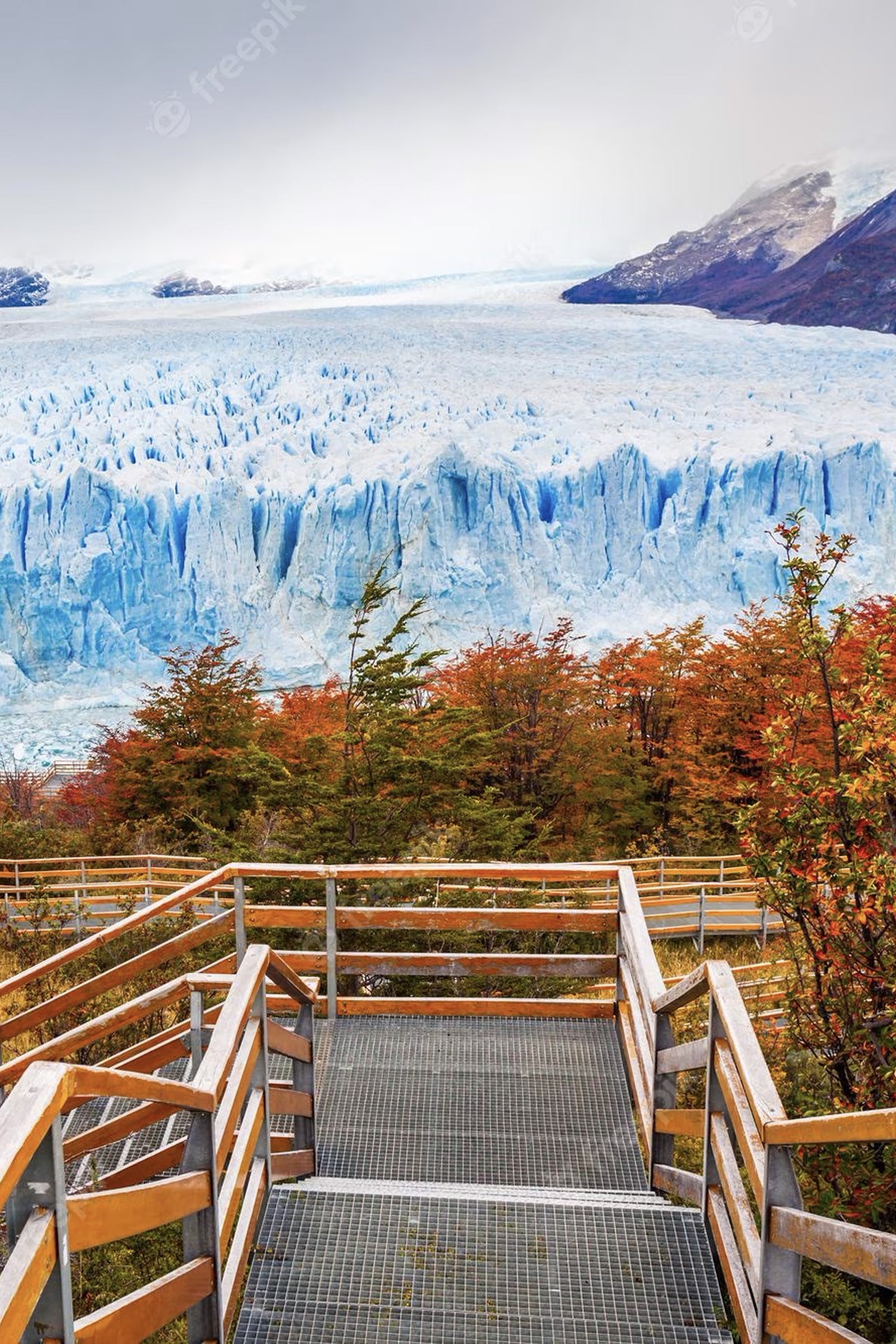 Tour in Patagonia: Scenari (12 giorni)