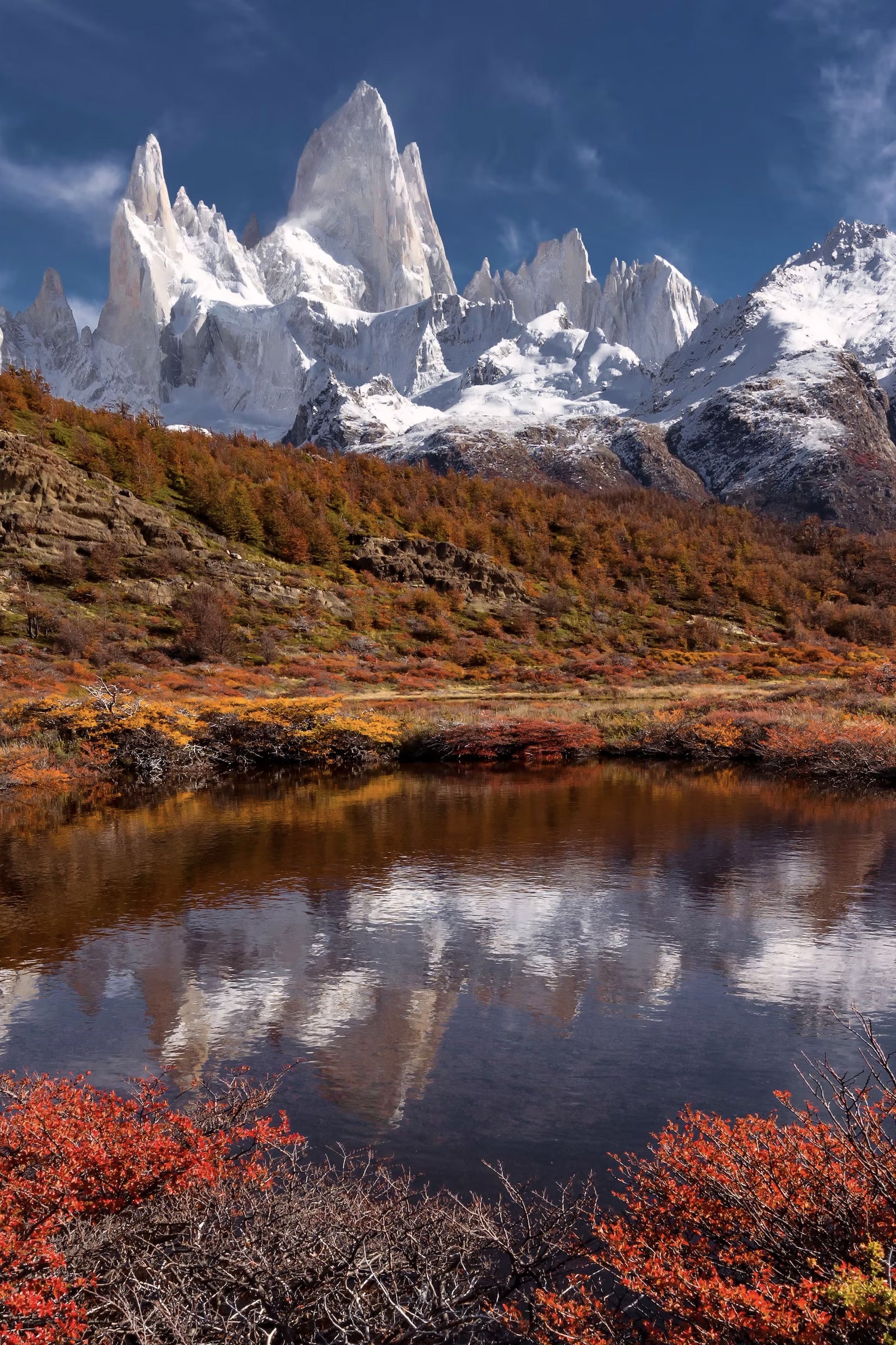 Tour in Patagonia: Scenari (12 giorni)